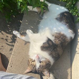 Meet your Posher, Dasha